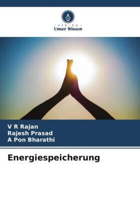 Rajan / Prasad / Pon Bharathi |  Energiespeicherung | Buch |  Sack Fachmedien