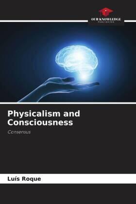 Roque |  Physicalism and Consciousness | Buch |  Sack Fachmedien