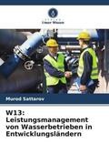 Sattarov |  W13: Leistungsmanagement von Wasserbetrieben in Entwicklungsländern | Buch |  Sack Fachmedien