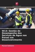 Sattarov |  W13: Gestão do Desempenho dos Serviços de Água nos Países em Desenvolvimento | Buch |  Sack Fachmedien
