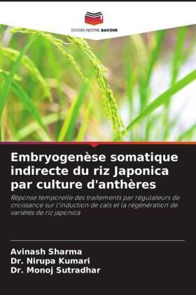 Sharma / Kumari / Sutradhar |  Embryogenèse somatique indirecte du riz Japonica par culture d'anthères | Buch |  Sack Fachmedien
