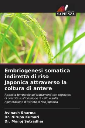 Sharma / Kumari / Sutradhar |  Embriogenesi somatica indiretta di riso Japonica attraverso la coltura di antere | Buch |  Sack Fachmedien