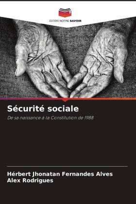 Jhonatan Fernandes Alves / Rodrigues |  Sécurité sociale | Buch |  Sack Fachmedien