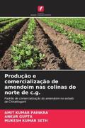 Painkra / Gupta / Seth |  Produção e comercialização de amendoim nas colinas do norte de c.g. | Buch |  Sack Fachmedien