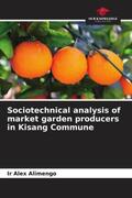 Alimengo |  Sociotechnical analysis of market garden producers in Kisang Commune | Buch |  Sack Fachmedien