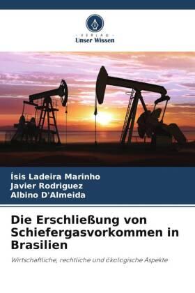 Ladeira Marinho / Rodríguez / D'Almeida |  Die Erschließung von Schiefergasvorkommen in Brasilien | Buch |  Sack Fachmedien