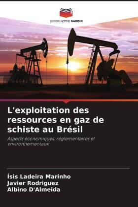 Ladeira Marinho / Rodríguez / D'Almeida |  L'exploitation des ressources en gaz de schiste au Brésil | Buch |  Sack Fachmedien