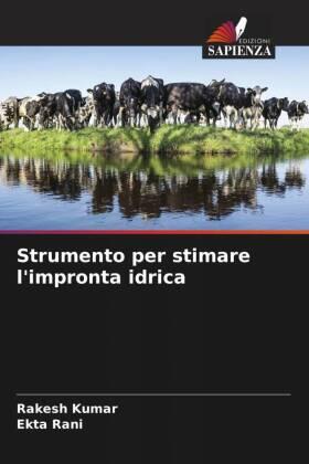Kumar / Rani |  Strumento per stimare l'impronta idrica | Buch |  Sack Fachmedien