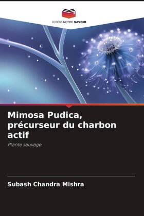Mishra |  Mimosa Pudica, précurseur du charbon actif | Buch |  Sack Fachmedien