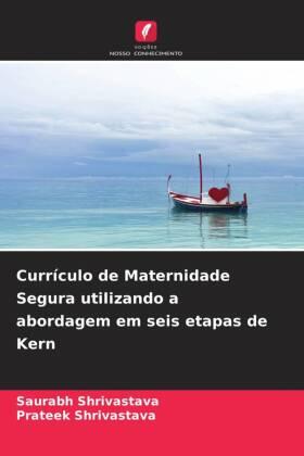 Shrivastava |  Currículo de Maternidade Segura utilizando a abordagem em seis etapas de Kern | Buch |  Sack Fachmedien