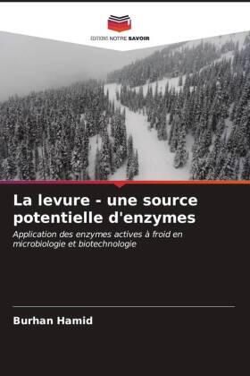 Hamid |  La levure - une source potentielle d'enzymes | Buch |  Sack Fachmedien