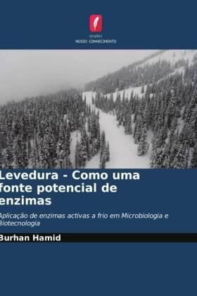 Hamid |  Levedura - Como uma fonte potencial de enzimas | Buch |  Sack Fachmedien
