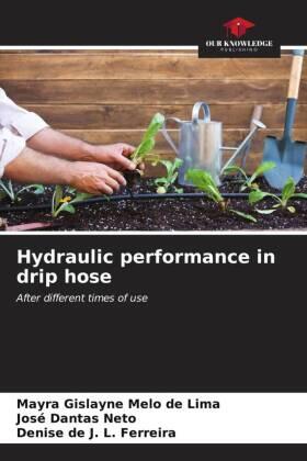Melo de Lima / Dantas Neto / L. Ferreira |  Hydraulic performance in drip hose | Buch |  Sack Fachmedien
