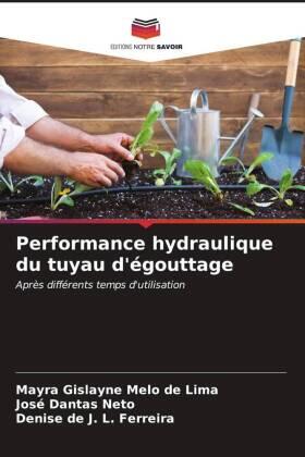 Melo de Lima / Dantas Neto / L. Ferreira |  Performance hydraulique du tuyau d'égouttage | Buch |  Sack Fachmedien