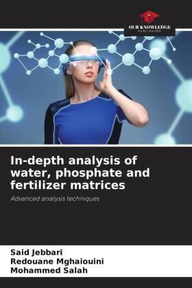Jebbari / Mghaiouini / Salah |  In-depth analysis of water, phosphate and fertilizer matrices | Buch |  Sack Fachmedien