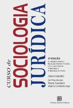 Ferreira / Bôas / Souza |  Curso de Sociologia Jurídica | eBook | Sack Fachmedien