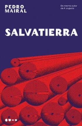 Mairal |  Salvatierra | eBook | Sack Fachmedien