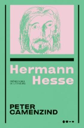 Hesse |  Peter Camenzind | eBook | Sack Fachmedien
