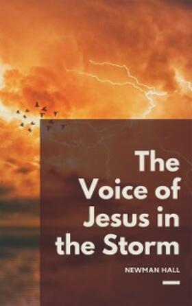 Storn |  The Voice of Jesus in the Storm | eBook | Sack Fachmedien