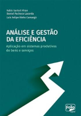 Piran / Lacerda / Camargo |  Análise e gestão da eficiência | eBook | Sack Fachmedien
