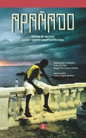 Zina / Arraes / Colanzi |  Apañado | eBook | Sack Fachmedien