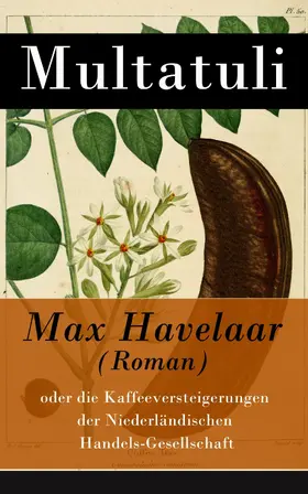 Multatuli |  Max Havelaar (Roman) | eBook | Sack Fachmedien