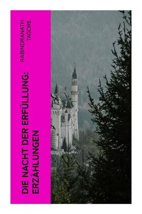 Tagore |  Die Nacht der Erfüllung: Erzählungen | Buch |  Sack Fachmedien