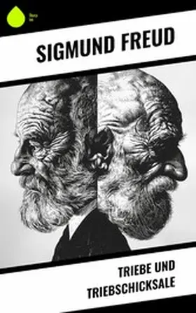 Freud |  Triebe und Triebschicksale | eBook | Sack Fachmedien