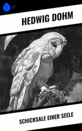 Dohm |  Schicksale einer Seele | eBook | Sack Fachmedien