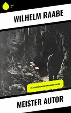 Raabe |  Meister Autor | eBook | Sack Fachmedien