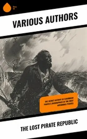 Defoe / Ellms / Johnson |  The Lost Pirate Republic | eBook | Sack Fachmedien