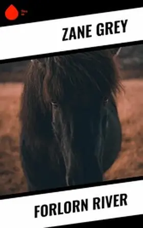 Grey |  Forlorn River | eBook | Sack Fachmedien