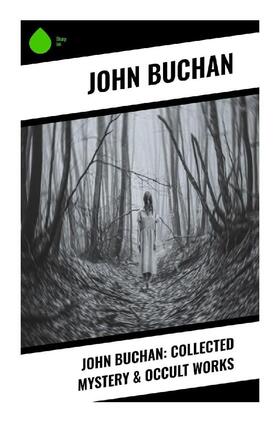 Buchan |  John Buchan: Collected Mystery & Occult Works | Buch |  Sack Fachmedien