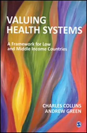 Collins / Green |  Valuing Health Systems | Buch |  Sack Fachmedien