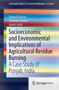 Kumar / Joshi |  Socioeconomic and Environmental Implications of Agricultural Residue Burning | Buch |  Sack Fachmedien