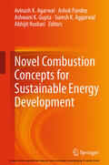 Agarwal / Pandey / Gupta |  Novel Combustion Concepts for Sustainable Energy Development | eBook | Sack Fachmedien