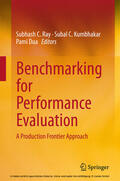 Ray / Kumbhakar / Dua |  Benchmarking for Performance Evaluation | eBook | Sack Fachmedien