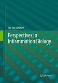 Banerjee |  Perspectives in Inflammation Biology | Buch |  Sack Fachmedien