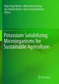 Meena / Maurya / Verma |  Potassium Solubilizing Microorganisms for Sustainable Agriculture | Buch |  Sack Fachmedien
