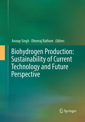 Rathore / Singh |  Biohydrogen Production: Sustainability of Current Technology and Future Perspective | Buch |  Sack Fachmedien