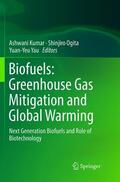 Kumar / Yau / Ogita |  Biofuels: Greenhouse Gas Mitigation and Global Warming | Buch |  Sack Fachmedien
