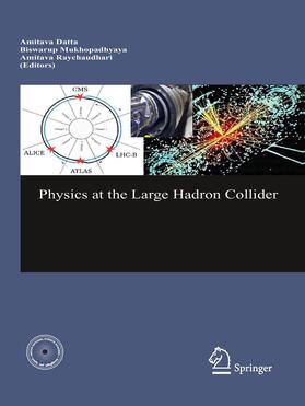 Datta / Mukhopadhyaya / Raychaudhuri |  Physics at the Large Hadron Collider | Buch |  Sack Fachmedien