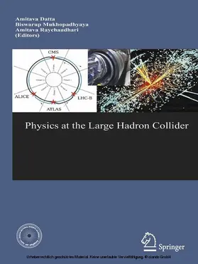 Datta / Mukhopadhyaya / Raychaudhuri | Physics at the Large Hadron Collider | E-Book | sack.de