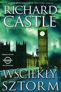 Castle |  Wsciekly sztorm | eBook | Sack Fachmedien