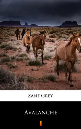 Grey |  Avalanche | eBook | Sack Fachmedien