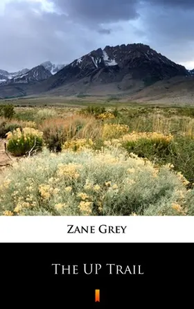 Grey |  The UP Trail | eBook | Sack Fachmedien