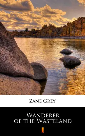 Grey |  Wanderer of the Wasteland | eBook | Sack Fachmedien