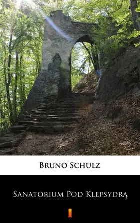 Schulz |  Sanatorium Pod Klepsydra | eBook | Sack Fachmedien