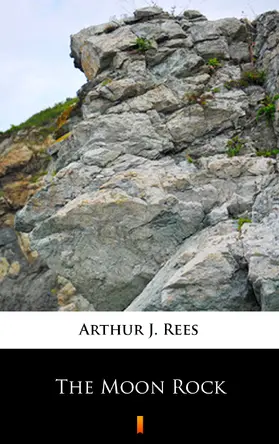 Rees |  The Moon Rock | eBook | Sack Fachmedien