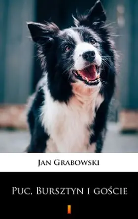 Grabowski |  Puc, Bursztyn i goscie | eBook | Sack Fachmedien